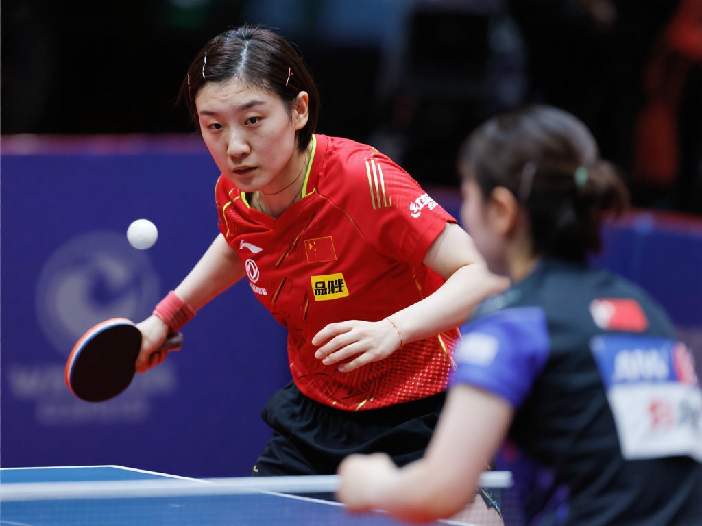 的国际赛场 的国际赛场